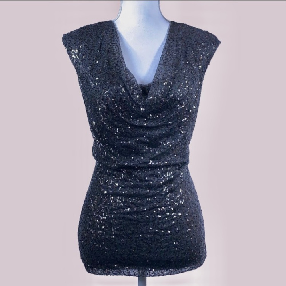 Ann Taylor Sequins Top